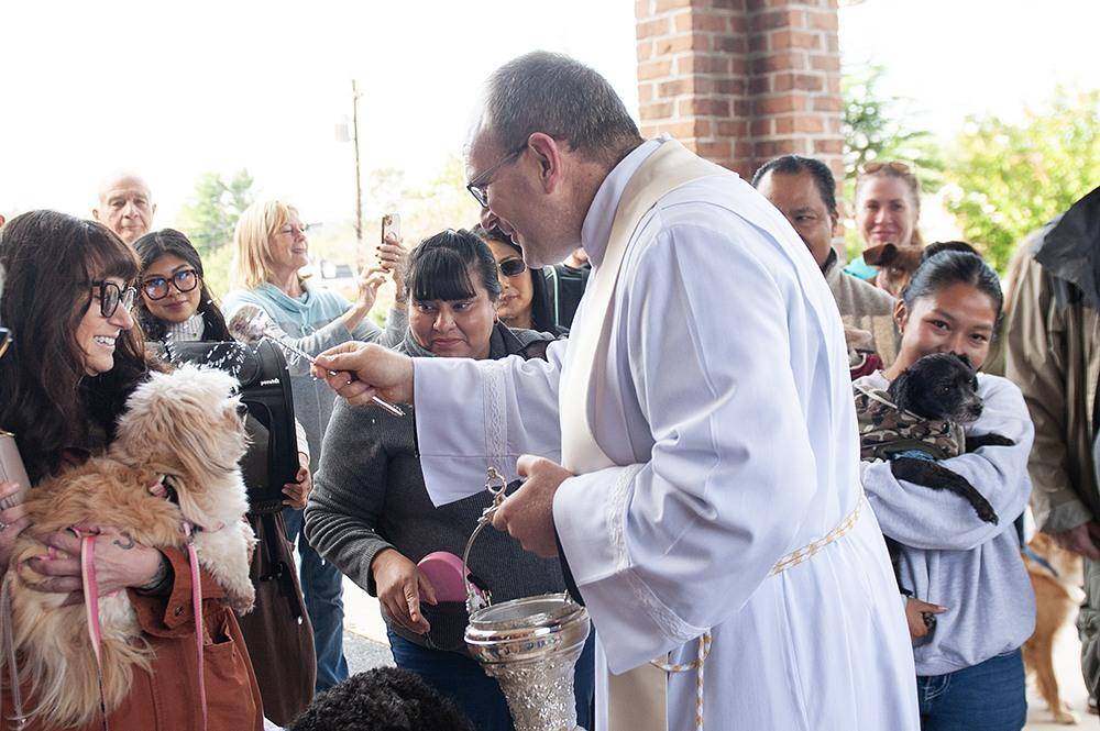 Father David blessed animals. 