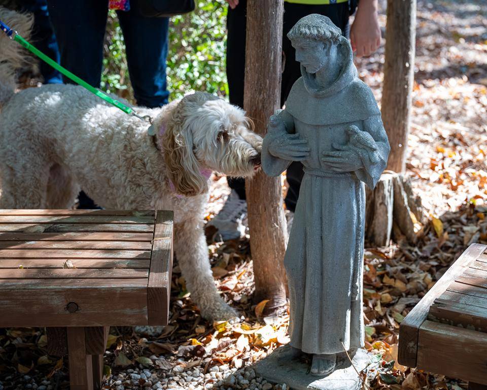 For the Feast of St. Francis of Assisi the faithful brough their pets to be blessed.