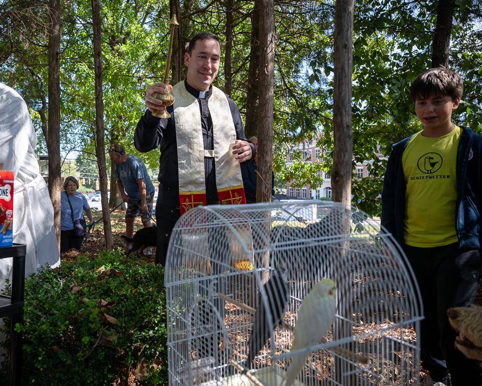 Father Patrick Cahill and Father Binoy Davis blessed cats, dogs, birds and even some reptile friends for the Feast of St. Francis of Assisi at St. Matthew Church in Charlotte. 