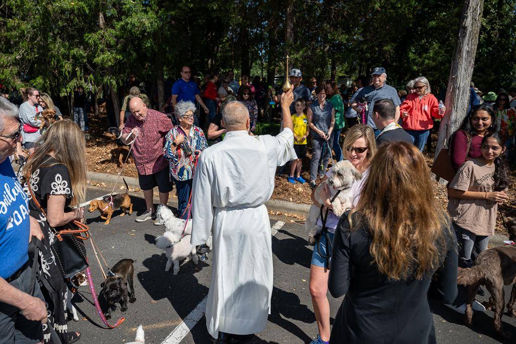 Father Patrick Cahill and Father Binoy Davis blessed cats, dogs, birds and even some reptile friends for the Feast of St. Francis of Assisi at St. Matthew Church in Charlotte. 