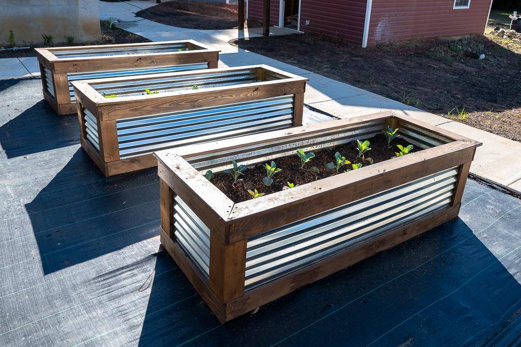 TINY HOUSE-0042 - Copy (Copy)