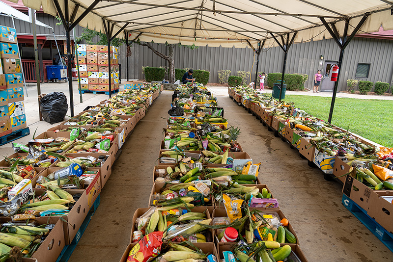 102425 Lupita Nava OLG food2