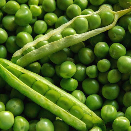 031524 CAW peas