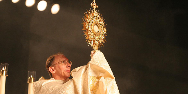 Celebration of the Eucharist to diocese