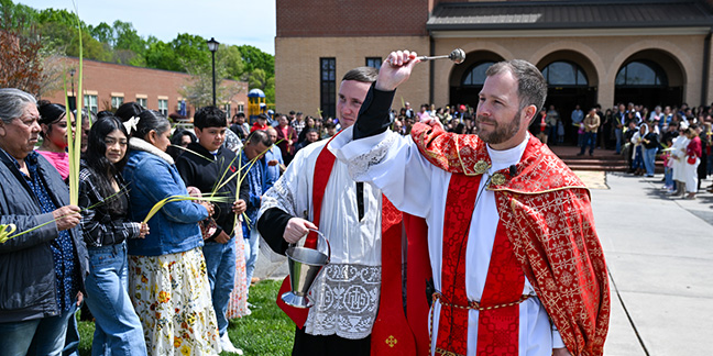 Palm Sunday celebrations