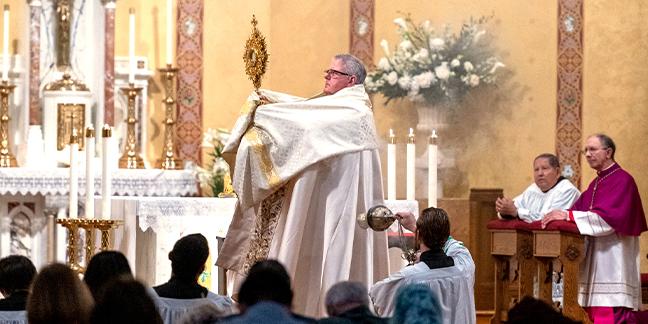 Two bishops and diocese unite in prayer for Pope Francis