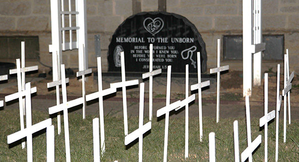 110625 Eagle Scout projects 3