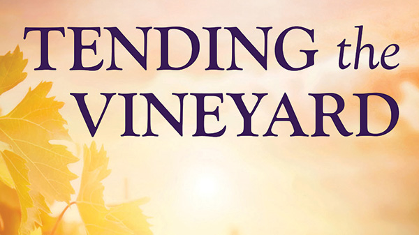 020626 English DSA title slide