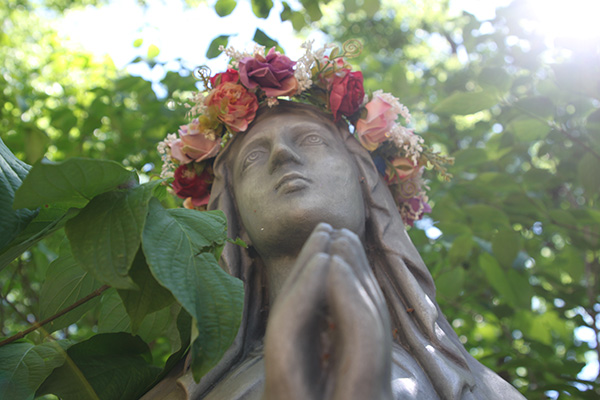 051526 garden 4