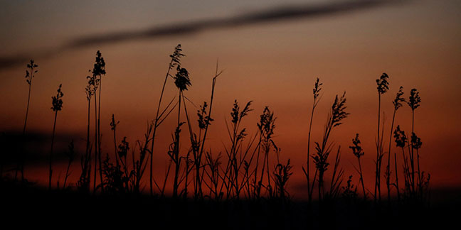 Earth Day needs Catholics' full engagement and hopeful vision