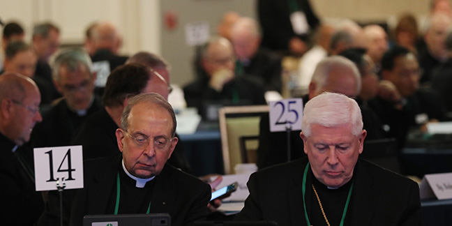 US bishops' spring meeting