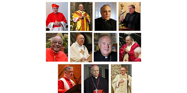 Cardinals with American ties that will cast votes for the next pope