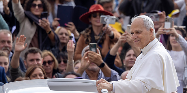 100125 pope audience