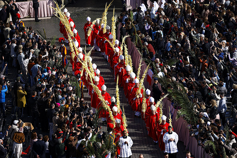 032926 palm 2 pope