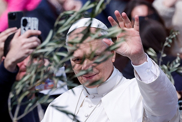 032926 pope palm 3