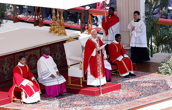 032926 pope palm 4