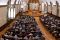 MAUNDY_0026-Pano (Copy)
