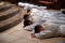 FR_ORD_0466-26 (Copy)