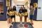 Sacred Heart students are excited to start the year.