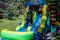 OLA_75 _0142 (Copy)